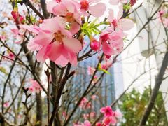 -文华公园(禅城区)