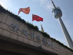 -陕西自然博物馆