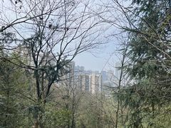 -桃花岭景区