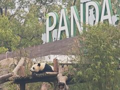 -武汉动物园