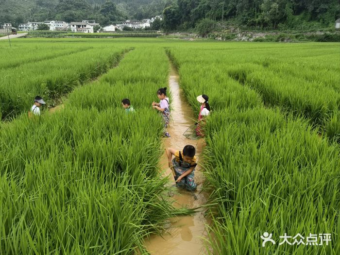 万峰林风景区图片