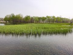 -溱湖国家湿地公园