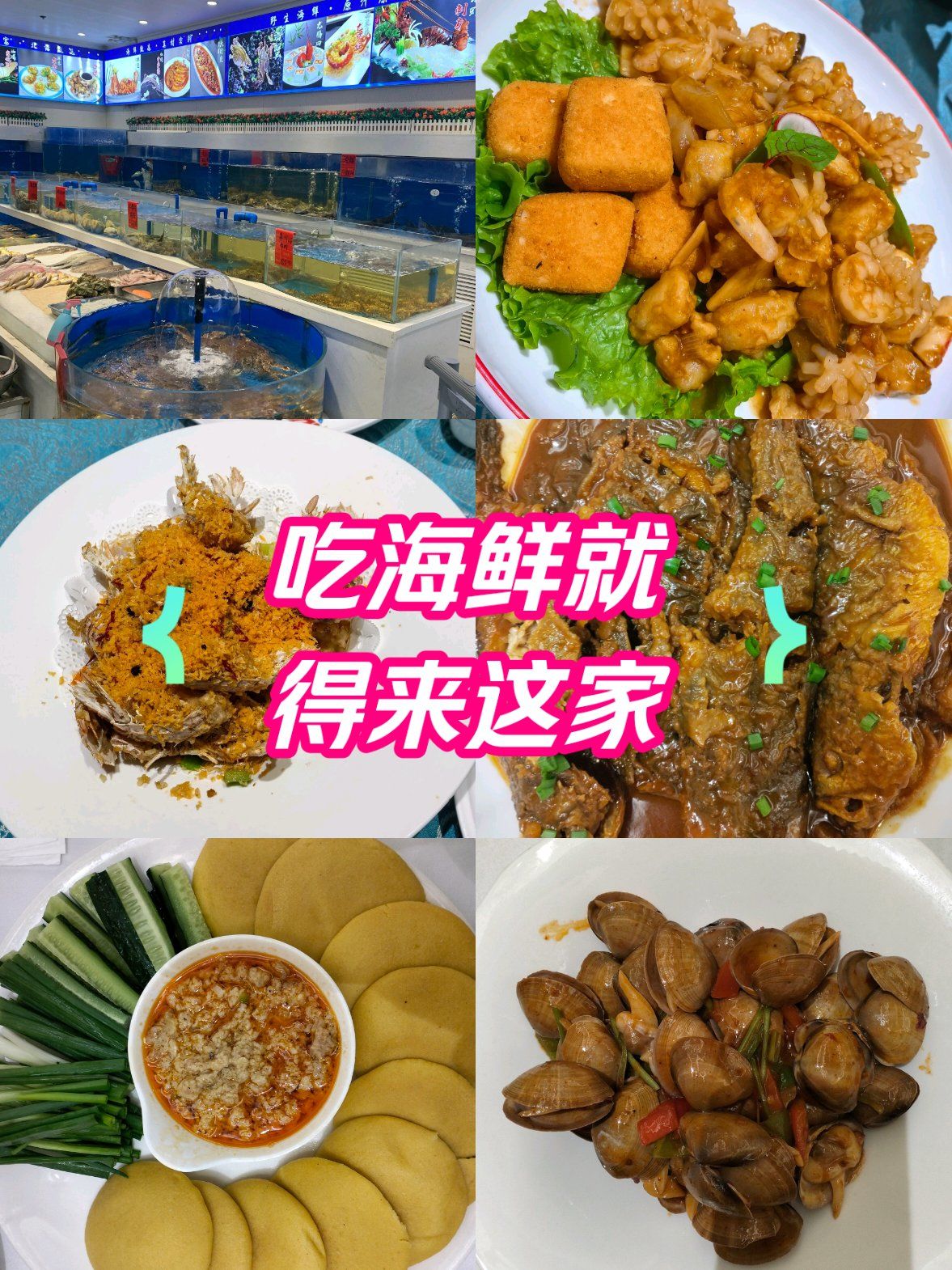 吃海鲜就得来北塘海鲜