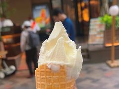 -野人先生现做冰淇淋(北京顺义祥云小镇店)