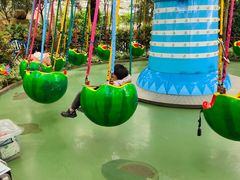 -南宫五洲植物乐园