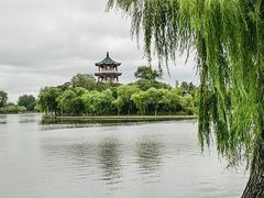 -月湖风景区