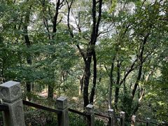 -虞山风景区