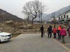 -沂蒙山旅游区云蒙景区(蒙山国家森林公园)