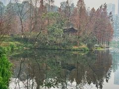 -重庆彩云湖湿地公园