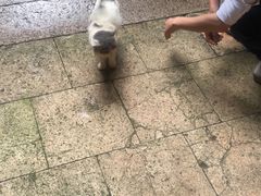 -老屋咖啡