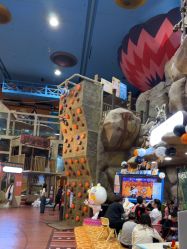 -卡通尼·Safari非洲探索乐园·生日会(金桥国际商业广场店)