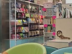 -北京观赏动物医院·24小时大型综合·猫专科·异宠专科