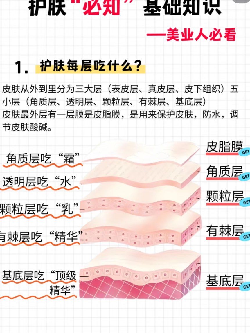 护肤必知的基础知识