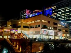 -台场海滨公园船码头
