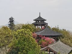 -杭州半山国家森林公园