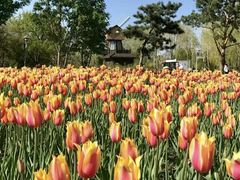 -长春公园(普阳街道)