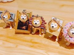 -柴务处·柴犬主题狗咖