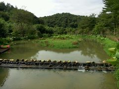 -田野绿世界