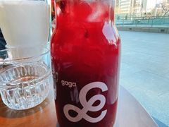 -gaga(北京新中关购物中心店)