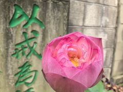 -綦江古剑山
