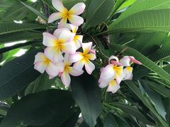 -布吉佳兆业广场