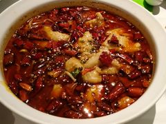 汤城水煮鱼-汤城小厨•粤菜•靓汤(金宝街店)