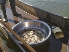 -大理洱源西湖景区