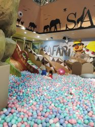 -卡通尼·Safari非洲探索乐园·生日会(金桥国际商业广场店)