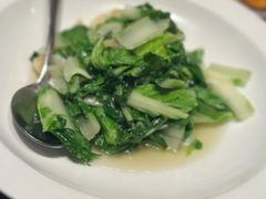 -老吉堂上海本帮菜(望京万象汇店)