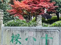 -十八棵（老龙井）御茶园(老龙井店)