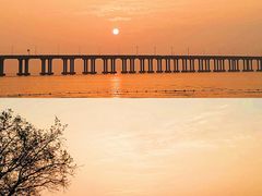 -宝安西湾红树林湿地公园