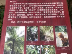 -梧桐山风景名胜区