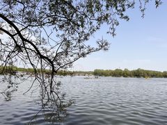 -石家庄市植物园