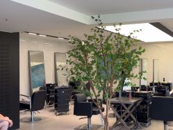 -付军剪艺JF ProSalon