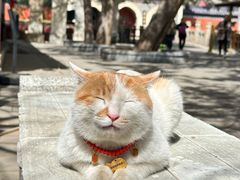 -潭柘寺景区