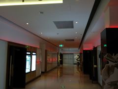 -金逸影城(武汉人信汇IMAX店)