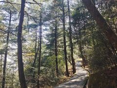 -苍山感通索道