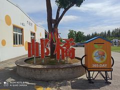 -前小桔亲子创意农场·草莓采摘·露营烧烤