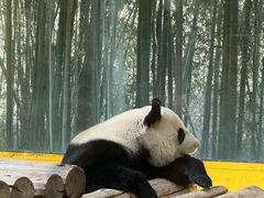 -杭州野生动物世界