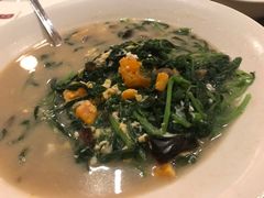 -詠春园