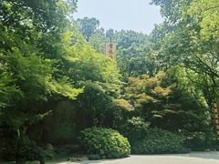 -杭州黄龙洞