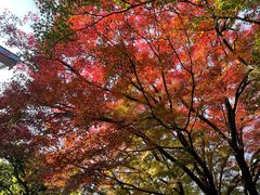 -上海市保健医疗中心