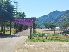 -秀水家园农家院住宿团建(石林峡店)