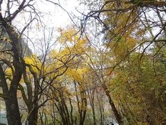 -叠溪松坪沟景区