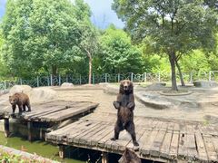 -淹城春秋乐园