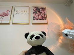 -美肤盾祛痘·问题肌头疗管理中心