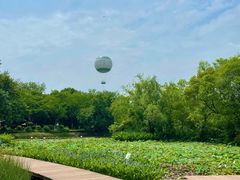 -西溪国家湿地公园