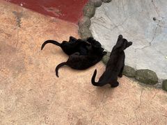 -杭州野生动物世界