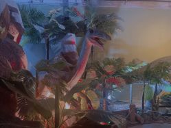 -恐龙探索乐园(磁器口店)