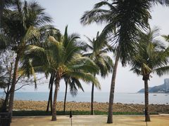 -半山半岛洲际度假酒店·观海廊